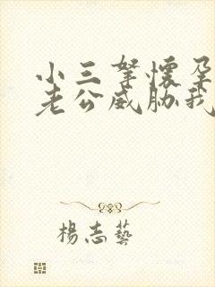 小三拿怀孕威胁老公威胁我该怎么办