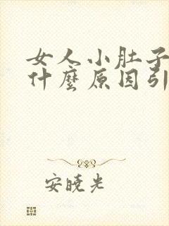 女人小肚子胀是什么原因引起的封面