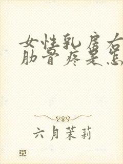 女性乳房右下面肋骨疼是怎么回事封面