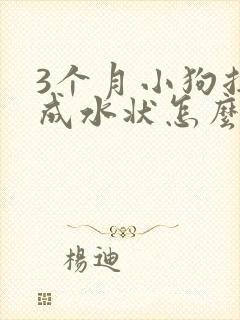 3个月小狗拉稀成水状怎么办