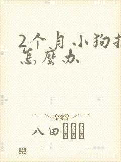 2个月小狗拉稀怎么办