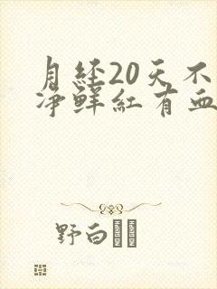 月经20天不干净鲜红有血块封面