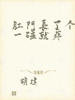 肛门长了个肉球一碰就疼封面