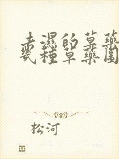 去湿的草药有哪几种草药图片