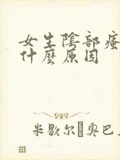 女生阴部瘙痒是什么原因