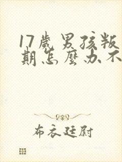 17岁男孩叛逆期怎么办不上学了