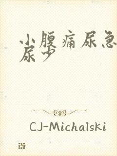 小腹痛尿急尿频尿少