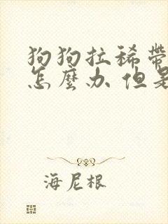 狗狗拉稀带点血怎么办 但是很活泼