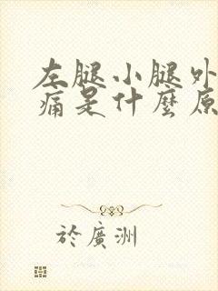 左腿小腿外侧疼痛是什么原因封面