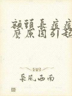 额头长痘痘是什么原因引起的封面