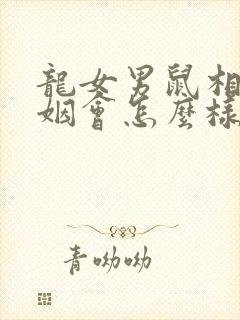 龙女男鼠相配婚姻会怎么样