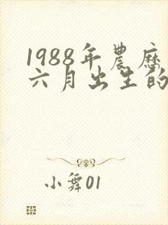 1988年农历六月出生的命运