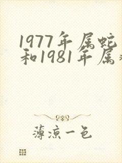 1977年属蛇和1981年属鸡的婚姻如何