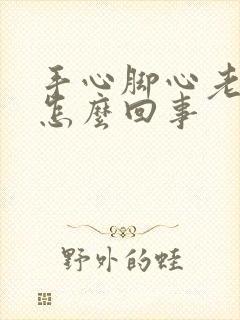 手心脚心老出汗怎么回事