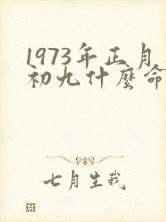 1973年正月初九什么命封面