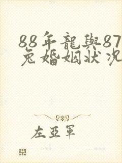88年龙与87兔婚姻状况