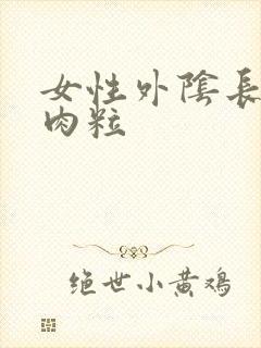 女性外阴长个硬肉粒