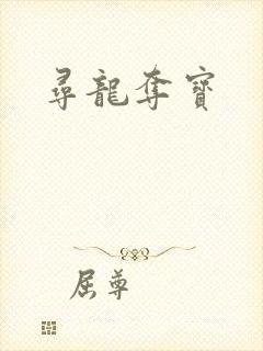 寻龙夺宝