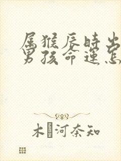 属猴辰时出生的男孩命运怎么样