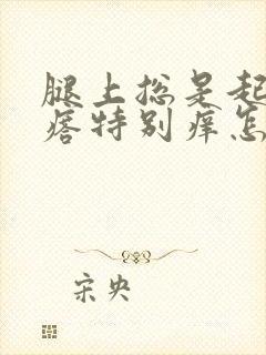 腿上总是起小疙瘩特别痒怎么回事