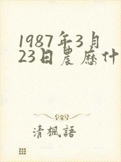 1987年3月23日农历什么命封面