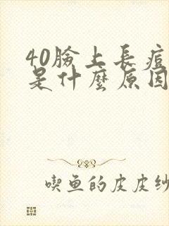 40脸上长痘痘是什么原因封面