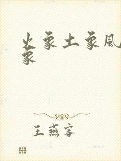 火象土象风象水象