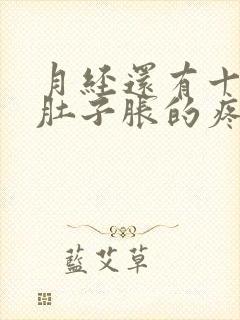 月经还有十来天肚子胀的疼怎么回事