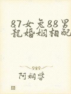 87女兔88男龙婚姻相配吗封面