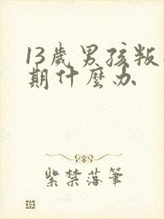 13岁男孩叛逆期什么办