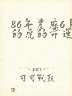 86年农历6月的虎的命运如何