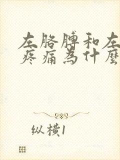 左胳膊和左肩膀疼痛为什么