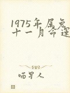 1975年属兔十一月命运怎么样