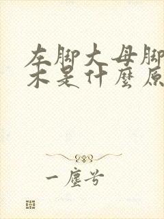 左脚大母脚趾麻木是什么原因