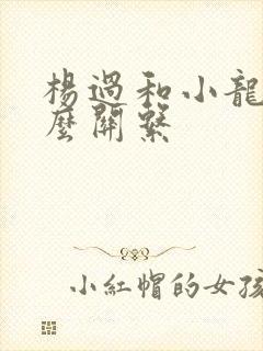 杨过和小龙女什么关系