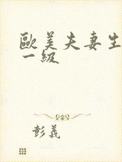 欧美夫妻生活片一级