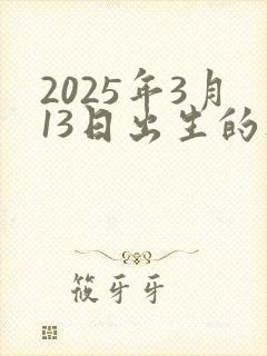 2025年3月13日出生的人命运
