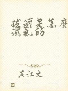 拔罐是怎么排除湿气的封面