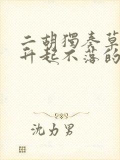 二胡独奏草原上升起不落的太阳