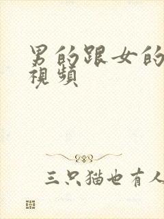 男的跟女的上床视频