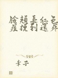 脸颊长红色的痘痘摸到还疼