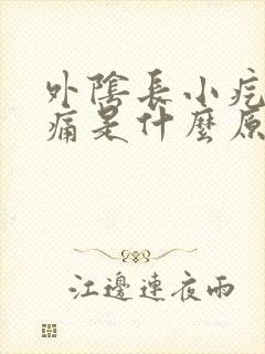 外阴长小疙瘩痒痛是什么原因