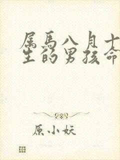 属马八月十五出生的男孩命运封面