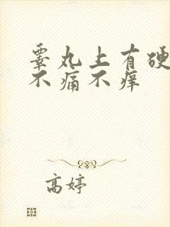 睾丸上有硬疙瘩不痛不痒封面