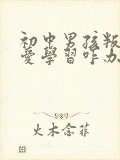 初中男孩叛逆不爱学习咋办