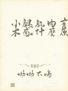 小腿肌肉有点麻木感什么原因引起的