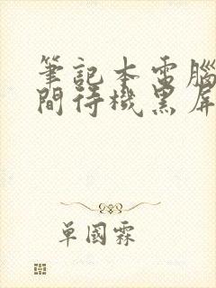 笔记本电脑长时间待机黑屏怎么办