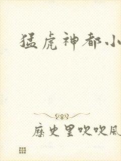 猛虎神都小说封面