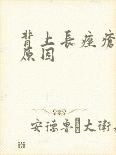 背上长痤疮什么原因