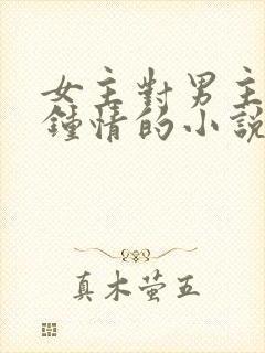 女主对男主一见钟情的小说